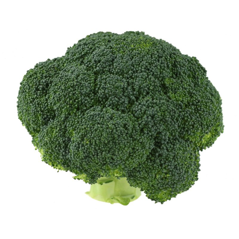 Økologisk broccoli 1 stk Italien Kål Madkurven.dk