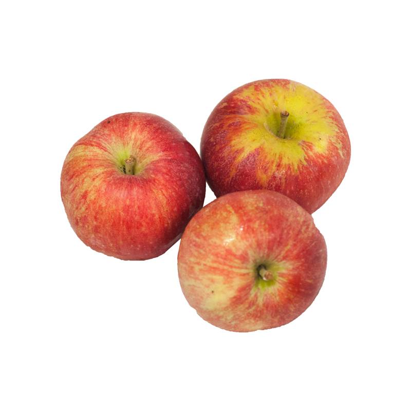 ØKO Gala æbler 1 kg. Æbler Madkurven.dk