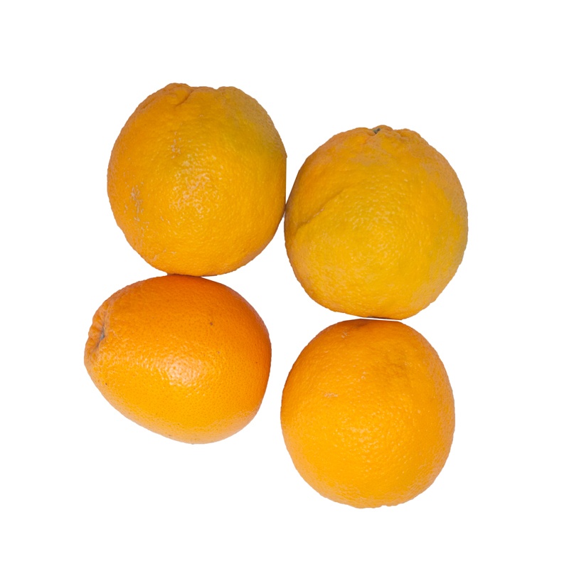 Økologiske Appelsiner 1 kg. Citrusfrugter Madkurven.dk