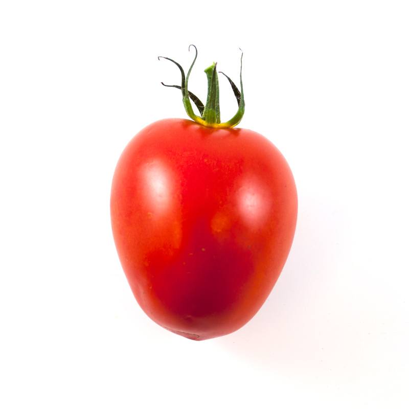 Tomat med stilk 1 stk  HOL/BEL Tomater Madkurven.dk